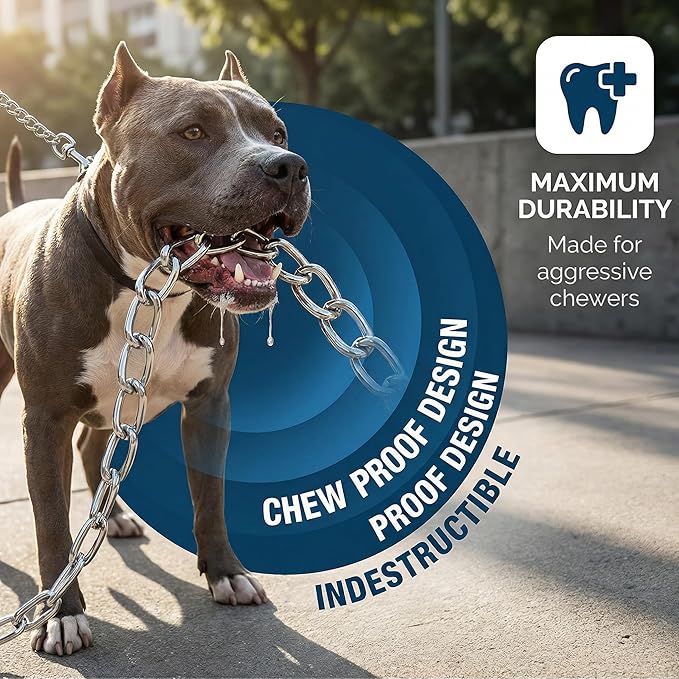 CtopoGo Heavy Duty Dog Leash,Metal Dog Chain Leash with Padded Handle for Large & Medium Size Dogs (4 ft. x 3.0 mm (0-80 lbs.))