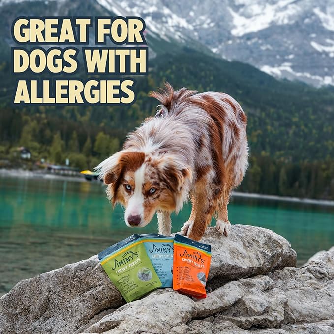 Jiminy's Chewy Cricket Dog Training Treats, Low Calorie, Hypoallergenic, Made in USA, 6oz, Variety Pack (Pack of 3)