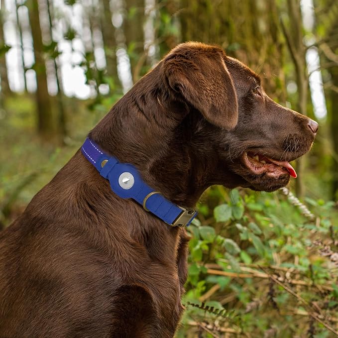 Reflective Leather Dog Collar with AirTag Holder - Soft Apple Airtag Dog Collar with Metal Buckle - Safety Cotton Pet Collars for Dogs Small Large Dogs Puppy (Blue, M, 14"-18")