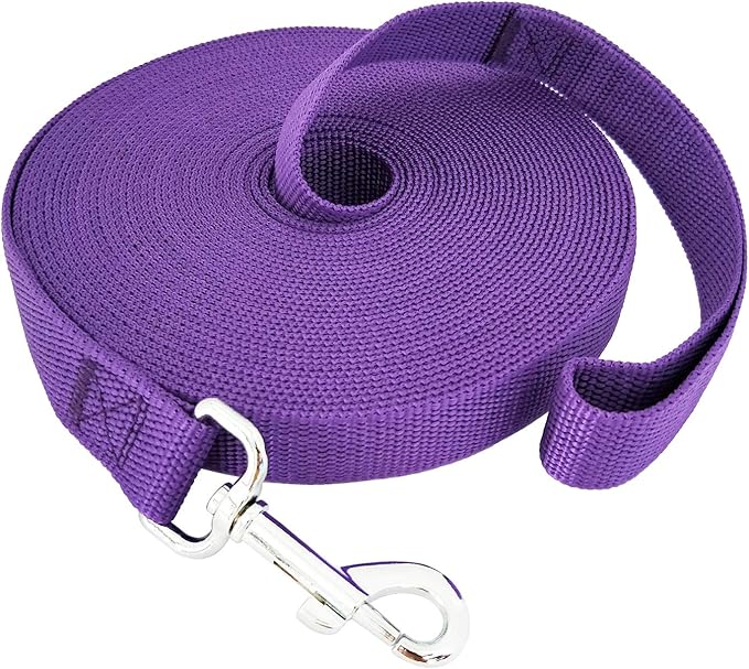 SALO Nylon Training Dog Leash for Small Medium Large Dogs, 1 Inch Wide, 20ft 30ft 40ft 50ft Long Leash Dog/Puppy Lead for Obedience Recall Training, Camping, or Backyard (40 Foot, Purple)