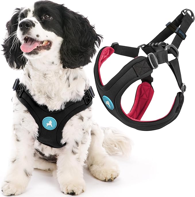 Gooby Escape Free Sport Harness - Black, Small - No Choke Step-in Patented Neoprene Dog Harness with Four-Point Adjustment for Small to Medium Dogs