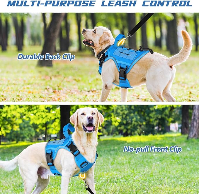 WINGOIN Blue Tactical Dog Harness for Small Dogs, Heavy Duty No Pull Harness with Handle, Adjustable Reflective Military K9 Pet Vest for French Bulldog, Pug, Walking, Training, Hunting (S)