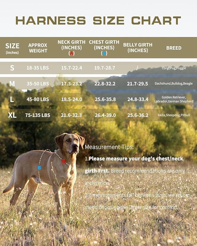 Small Dog Harness, Heavy Duty Tactical No Pull Dog Harness, No Choke, Easy On and Off Pet Vest with Molle System, Adjustable Reflective Dog Vest with Breathable Padded for Walking Hiking Training