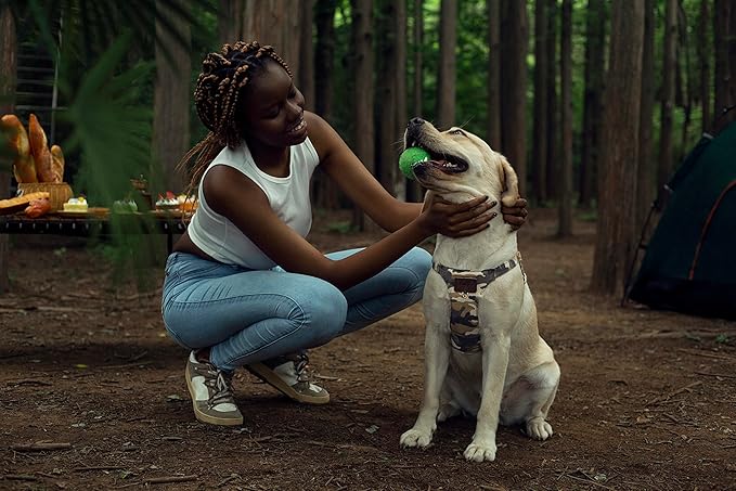 Puppytie Dog Harness & Multi-Function Leash Set for Medium Dogs (16lb-35lb), Camouflage Brown, M, No Pull, Easy Walk, Adjustable, Soft Dog Vest Harness, Fashionable Dog Accessories