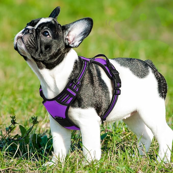 Eagloo Dog Harness Small Sized Dog, No Pull Service Vest with Reflective Strips and Control Handle, Adjustable and Comfortable for Walking, No Choke Pet Harness with 2 Metal Rings, Purple, S