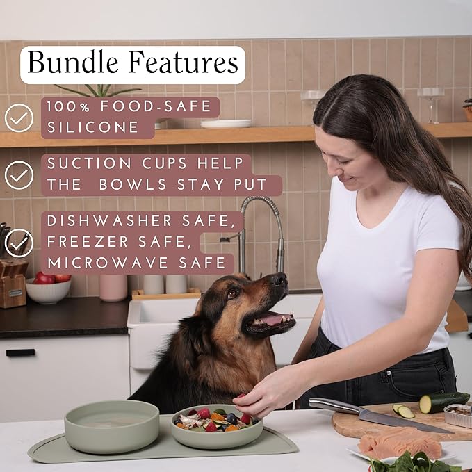 Should We Go? Complete Pet Feeding Set: Slow Feeder & Water Bowl with Spill-Proof Silicone Mat - Ideal for Small to Medium Dogs, Non-Slip, Easy Clean, Raised Edges, Durable Silicone - Blush