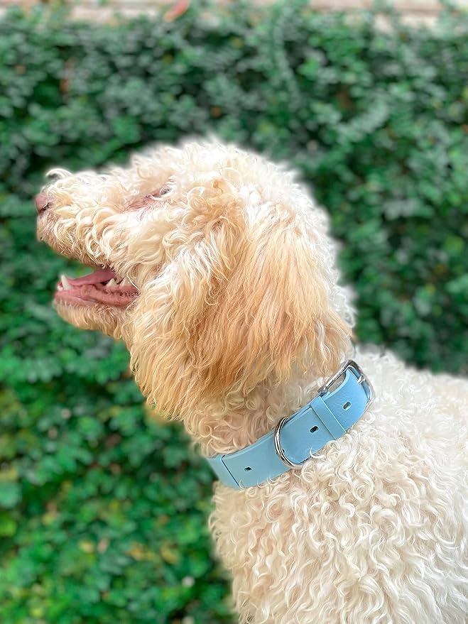 Tuff Pupper Classic Heavy Duty Dog Collar | 10x Stronger Than Leather | 100% Waterproof & Odor Proof Dog Collar | Tough Rust-Proof All Metal Hardware