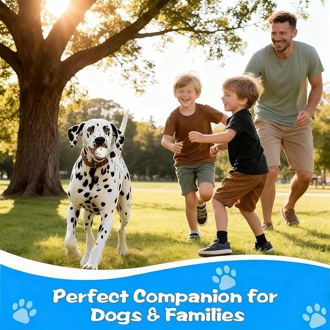 Indestructible Dog Chew Toy for Aggressive Chewers,Ball for Pit Bull,Soft Balls for Dogs Interactive Dog Ball,Durable ETPU Toy for Large Medium Small Dogs