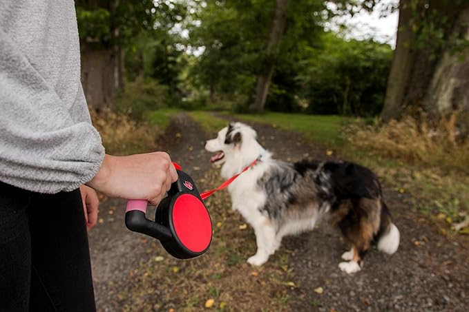 WIGZI Gel Retractable Leash, Small, Red (SMLGL-RD)