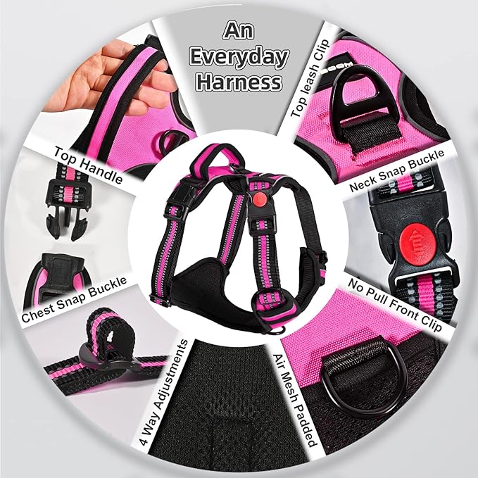 No Pull Dog Harness with A Free Heavy Duty 5ft Dog Leash, Adjustable Soft Padded Dog Vest, Reflective No-Choke Pet Oxford Vest with Easy Control Handle and Dog Leash for Dogs (Pink, X-Large)