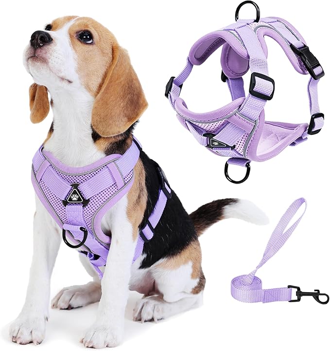 No Pull Dog Harness with Leash Set for Small Sized Dog, Reflective Adjustable No Choke Front Clip Cat Vest Harness with Breathable Mesh, Comfortable Soft Padded Pet Vest, Purple S