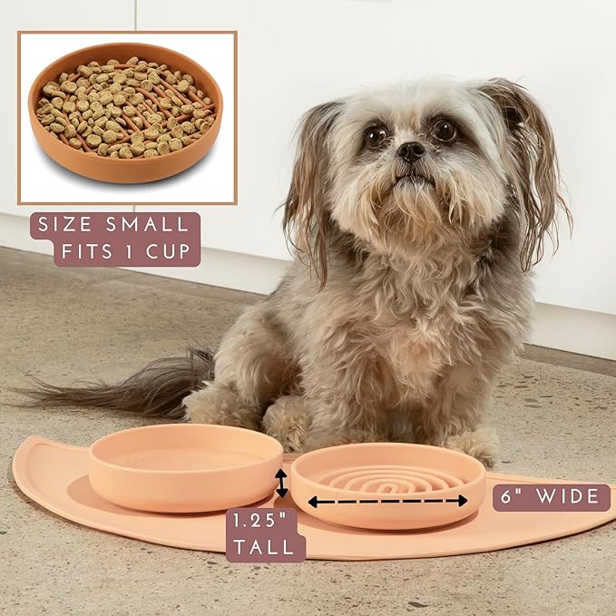 Should We Go? Slow Feeder for Dogs & Cats, The Slowdown Bowl Silicone Slow Eating Mealtime Solution with Modern Lick Mat Design, Reduces Gulping, Fits 1 Cup, 6” Across x 1.25” Tall, Small-Charcoal