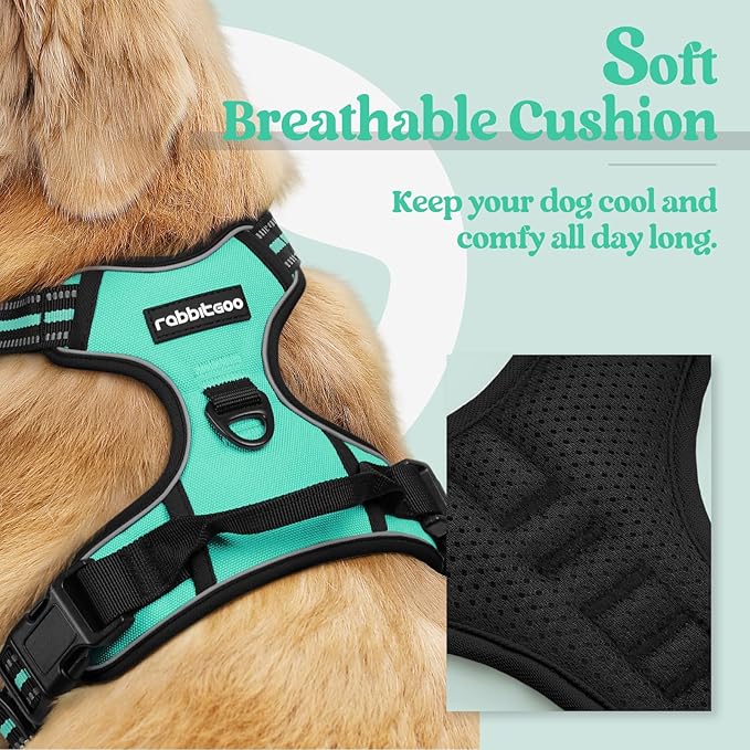 rabbitgoo Dog Harness No Pull with 2 Leash Clips, Adjustable Soft Padded, Reflective Oxford No Choke Pet Vest with Easy Control Handle for Medium Sized Dogs, Turquoise, M