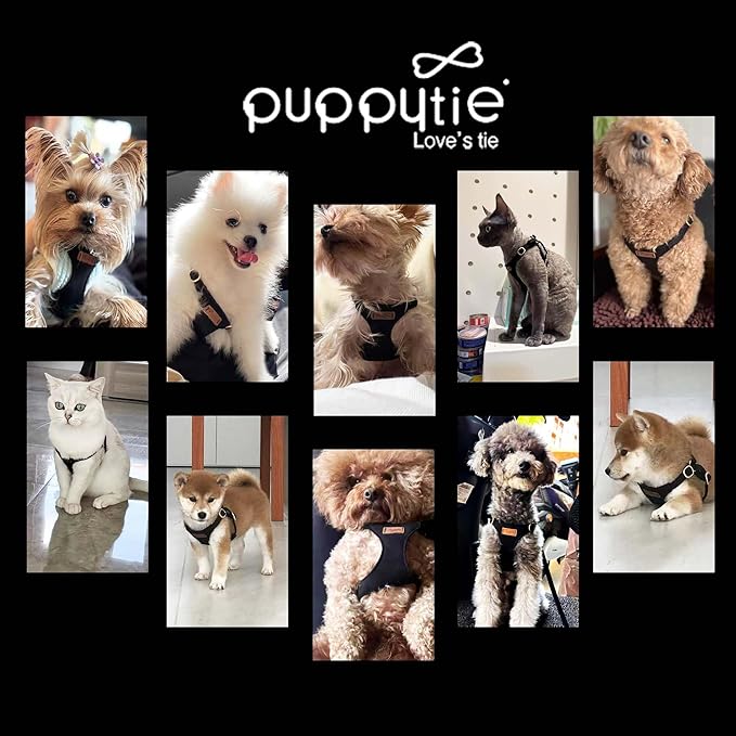 Puppytie No Pull Small Dog Harness with Multifunction Dog Leash,Lightweight Soft Adjustable No Choke Escape Proof Pet Harness Vest Pet Harness Vest,Black,S
