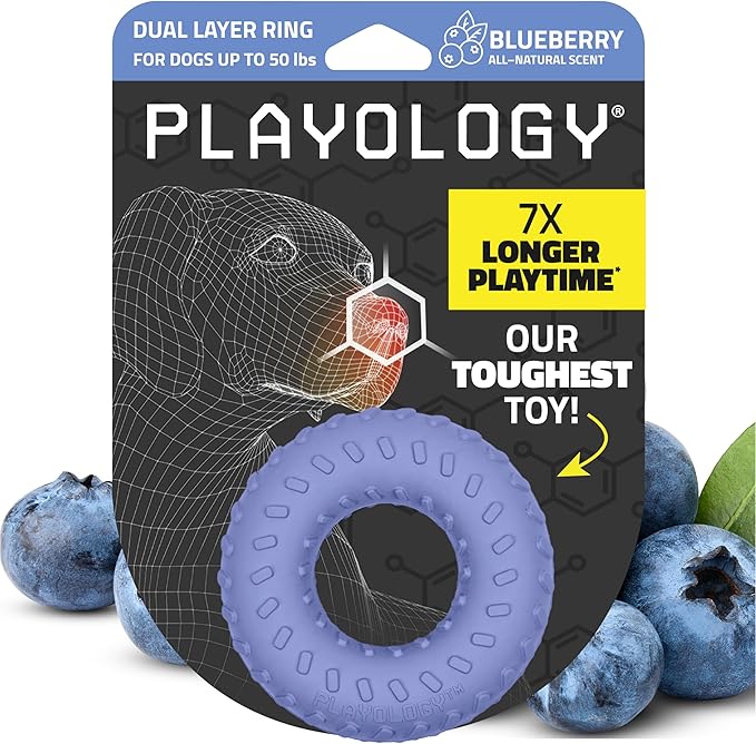 Playology Dog Toys | Dual Layer Ring Durable Chew Toy for Aggressive Chewers | Medium Blueberry Scented Toy - Easy to Clean and Made from Non Toxic Materials