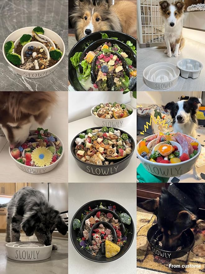 Ceramic Slow Feeder Dog Bowls Small Breed, 0.6 Cups Dog Food Dish for Fast Eaters, Puzzle Bowl for Small Dogs and Cats,Black