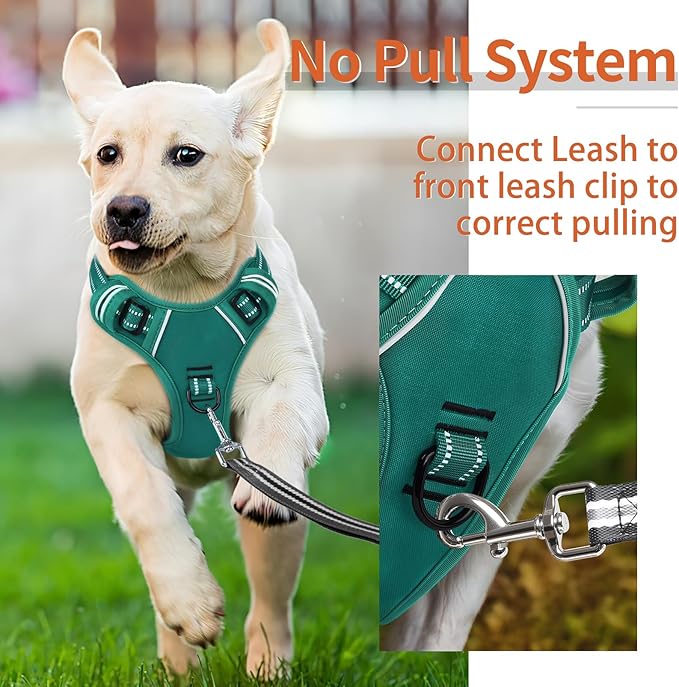 HEELE Dog Harness for Small Dogs No Pull Dog Vest Harness for Small Dog with Soft Padded Handle Reflective for Outdoor Training, Grass Green, S