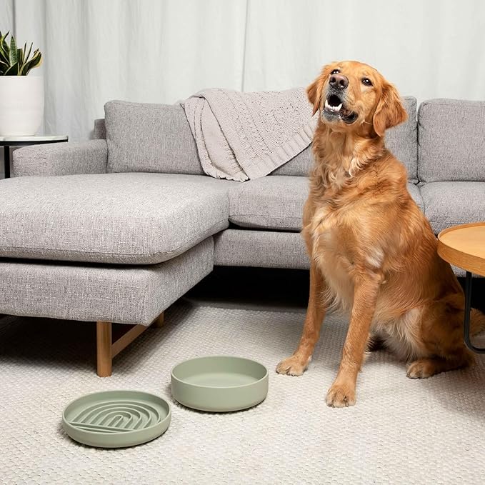 Should We Go? Dog Water Bowl - The Perfect Dish No-Spill, Less Mess Non-Tippable Water & Food Bowl, Silicone with Suction Cup, Fits 5 Cups 7.5" Across x 2.25" Tall, Ideal for All Pets, Medium-Charcoal