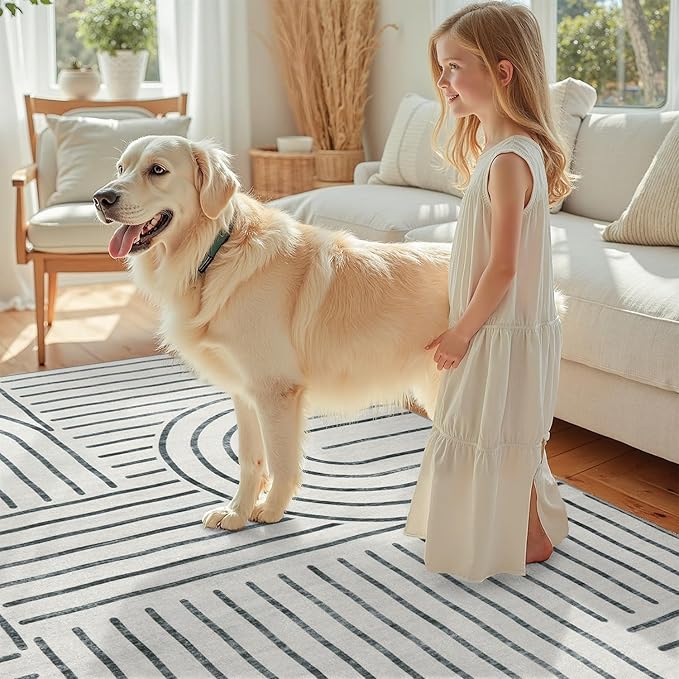 DCX Abstract Machine Washable 3x5 Rug, Gray Modern Accent Rug for Living Room, Soft Low Pile Non Slip Carpet, Kid & Pet Friendly Stain Resistant Rug for Bedroom Dining Room Office