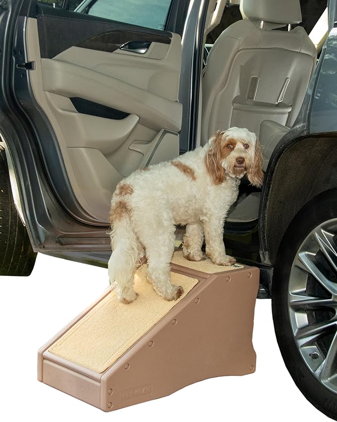 Pet Gear Stramp Stair and Ramp Combination for Dogs/Cats, Easy Step, Lightweight/Portable, Sturdy, Easy Assembly (No Tools Required) 1 Model, Available in 6 Colors