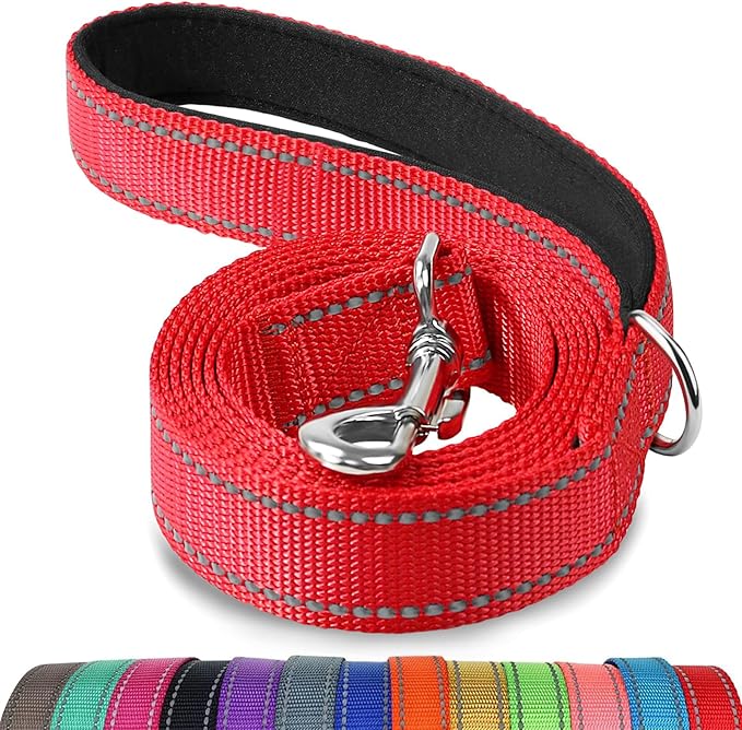 Joytale Dog Leash Heavy Duty for Small Medium Dogs, 4 FT Reflective Nylon Pet Walking Lead with Soft Padded Handle, Durable & Tangle Free for Training, Running & Safety Control, Red