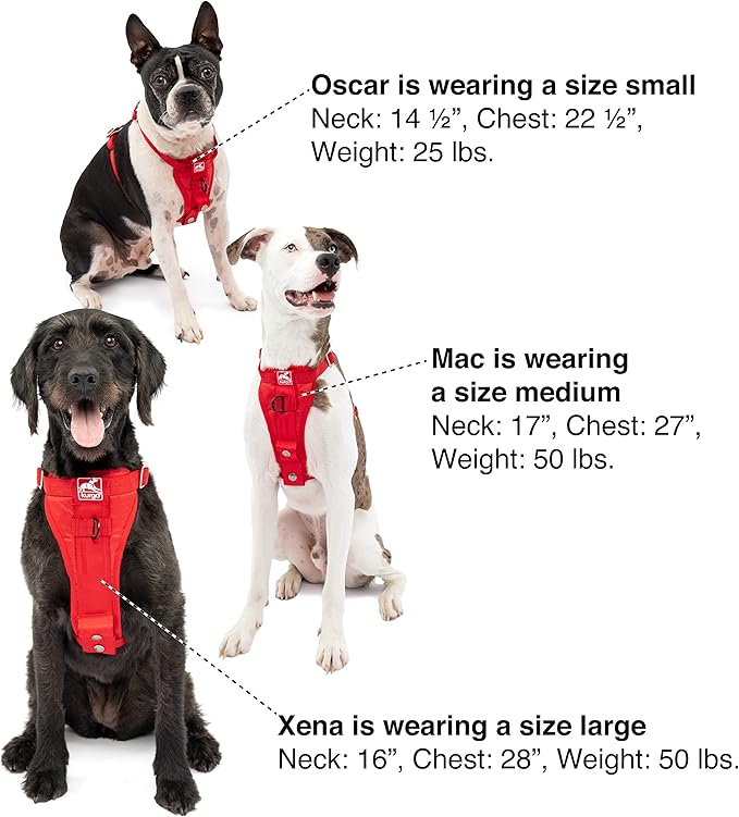 Kurgo Enhanced Strength Tru-Fit Dog Car Harness - Pet Travel Safety Harness - Crash Test Certified Fit - Five Point Adjustment - Secure Buckle - Padded Chest - Black - Large