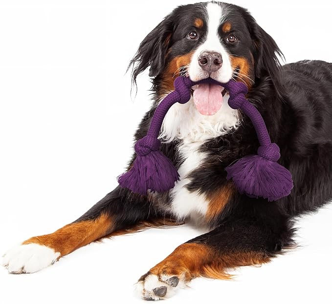 Playology Rope Toys for Dogs | Tug of War Dog Toy for Aggressive Chewers | Bacon Scented Dog Toys | Mega Rope Toy for Interactive Play
