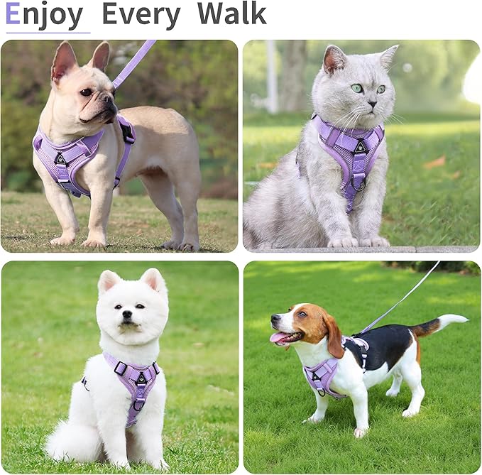 No Pull Dog Harness with Leash Set for Small Sized Dog, Reflective Adjustable No Choke Front Clip Cat Vest Harness with Breathable Mesh, Comfortable Soft Padded Pet Vest, Purple M