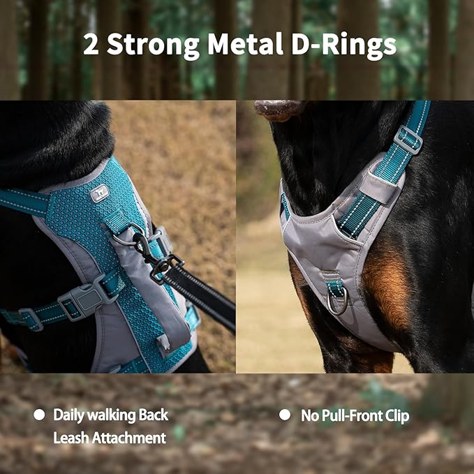 Huntboo Reflective Dog Harness with Handle, Escape Proof, No Slip, Breathable, Lightweight, Adjustable Lift Harness for Small, Medium, and Large Dogs Walking, Training, and Running Gear(Teal Blue,XS)
