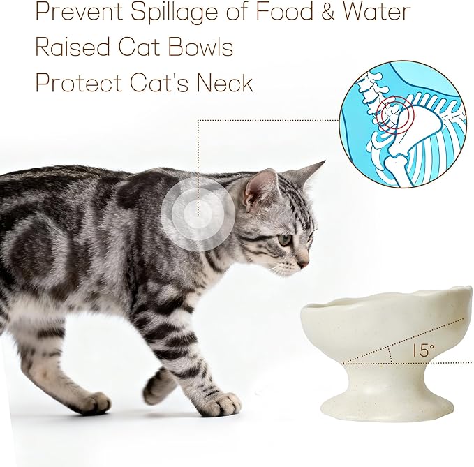Ceramic Elevated Cat Bowl Set, Tilted Slow Feeder Bowl & Water Bowl for Cats, Kittens and Small Dogs, Neck Protection, Anti-Vomiting Design, Whisker Friendly, Stylish Speckled White