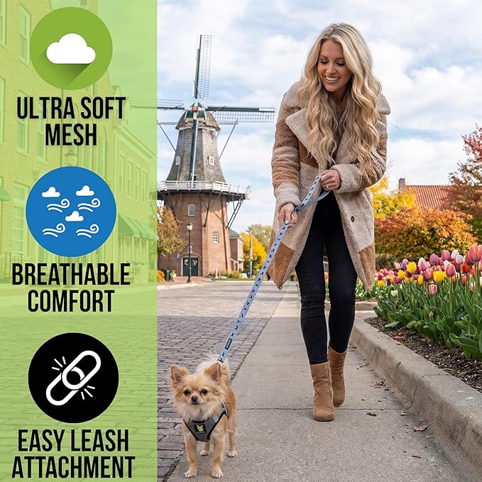 EcoBark Step in Dog Harness Reflective Soft Ultra Padded Mesh Dog Harnesses for Small, and Medium Breed Dogs Eco-Friendly Comfort Secure Halter No Pull Adjustable Pet Vest (Gray, XL)