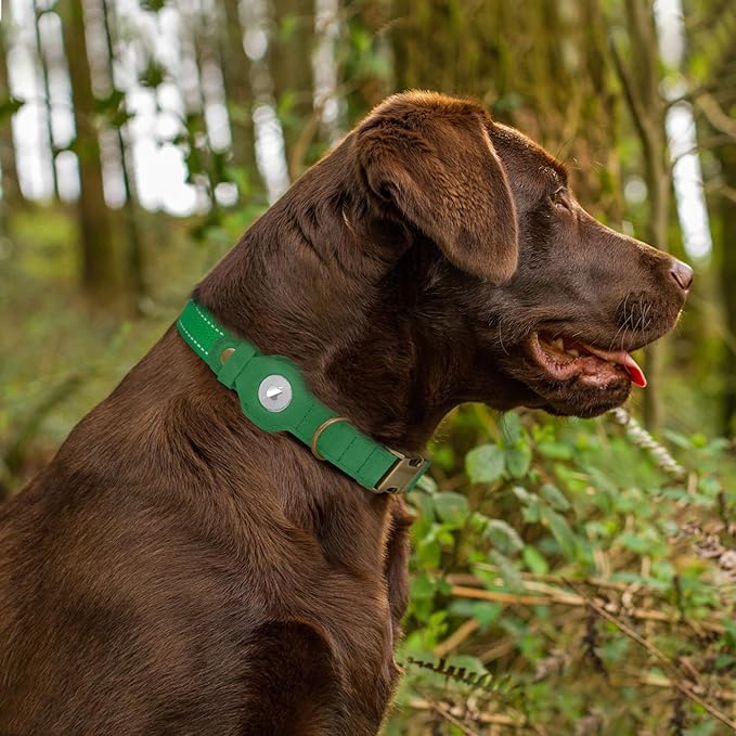 Reflective Leather Dog Collar with AirTag Holder - Soft Apple Airtag Dog Collar with Metal Buckle - Safety Cotton Pet Collars for Dogs Small Large Dogs Puppy (Green, L, 17"-21")