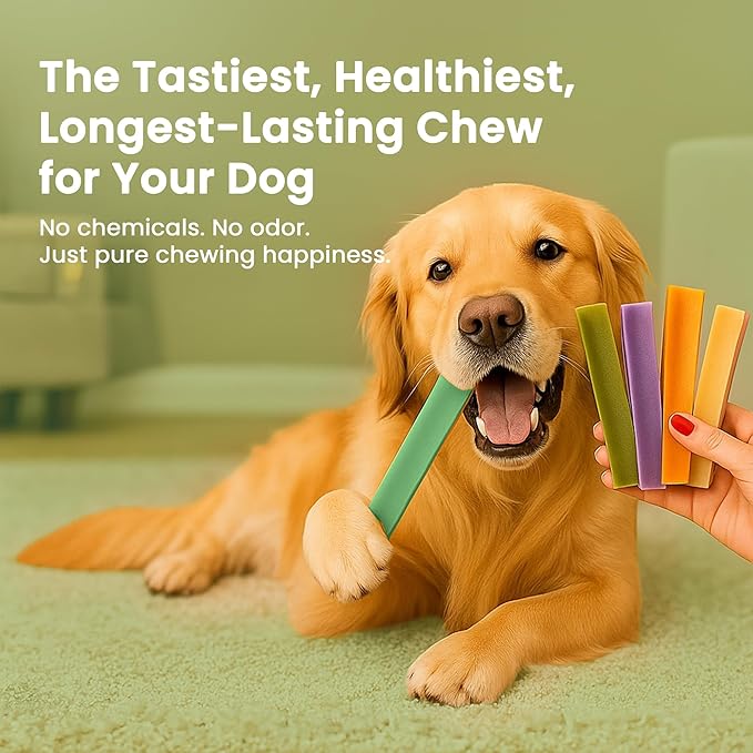 KATHMANDU'S 100% Natural Mint Flavored Yak Chews – Keep Dogs Busy & Happy with Our Lactose&Rawhide Free Himalayan Dog Chews - Long Lasting Dental Treats for Aggressive Chewers (Large, Pack of 4)