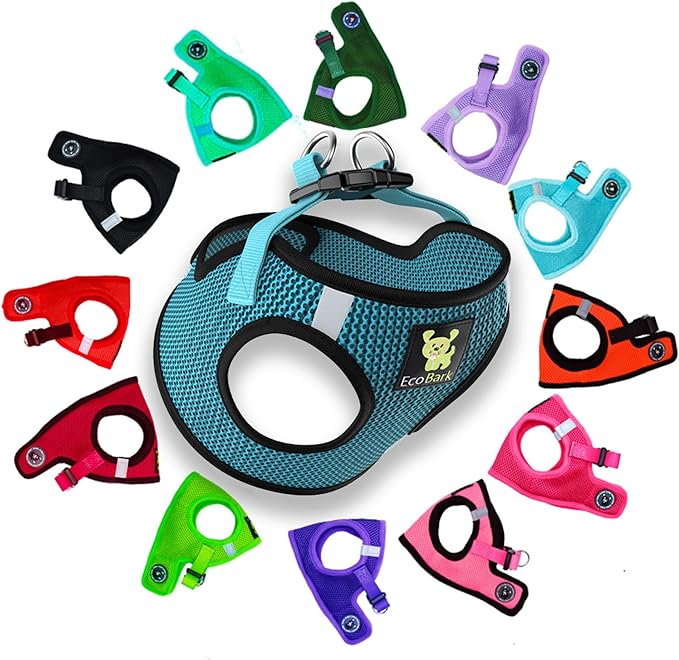 EcoBark Step in Dog Harness - Eco-Friendly Teacup Dog Harnesses for XXS, XS, and Small Dogs - Reflective and Adjustable Mini Body Halter Vest -Tiny Soft Mesh Toy Breed Harness (Aqua Sport, XXS)