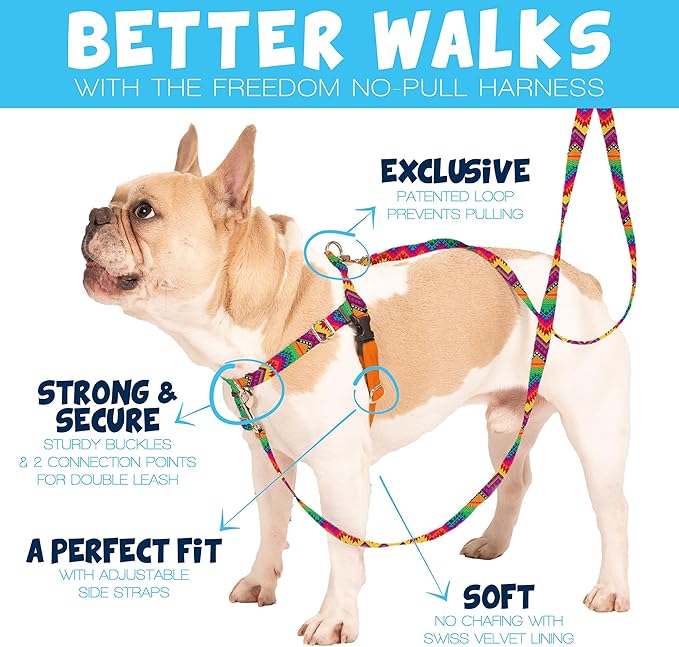 2 Hounds Design - Freedom No-Pull Harness & Training Leash in Pink and Purple | Dual Leash Loops, No Pulling on Walks | Lined to Prevent Chaffing | for Large Sized Dogs (Size L, Chest 28”- 32”)