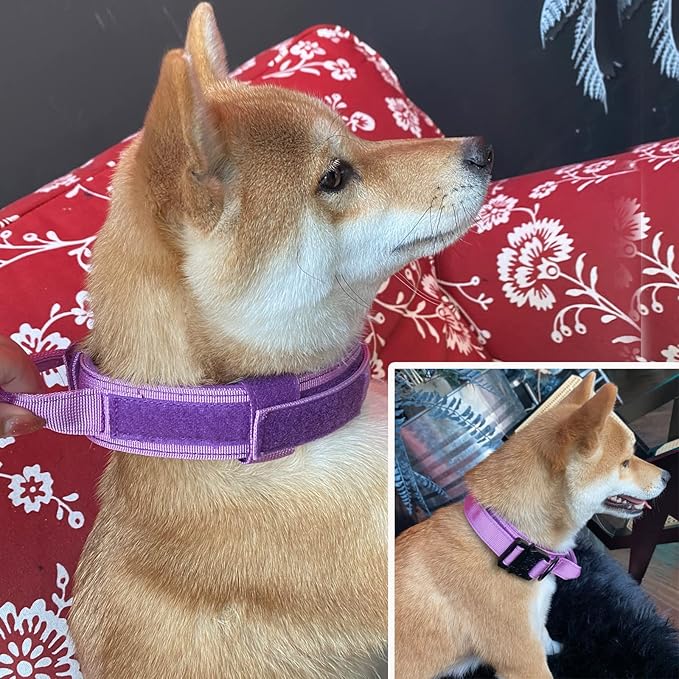 Xqpetlihai Tactical Dog Collar Adjustable Military Nylon Dog Collar with Control Handle and Heavy Duty Metal Buckle for Medium and Large Dogs (Purple,L)