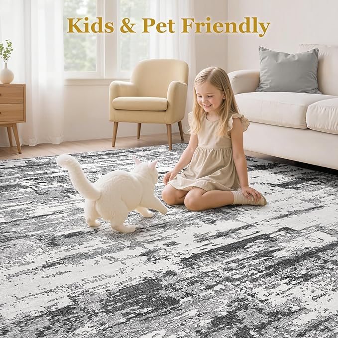 Area Rugs for Living Room: 4x6 Abstract Washable Rug Modern Neutral Large Soft Stain Resistant Non-Slip Backing Machine Table for Bedroom Dining Room Indoor Home Office Carpet - Black Grey