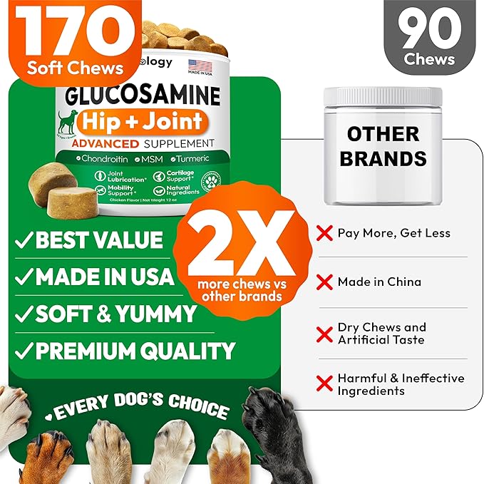 Glucosamine for Dogs - Hip and Joint Supplement for Dogs - 170 Mobility Chews - Glucosamine Chondroitin - MSM - Turmeric - Joint Pain Relief - Advanced Support for Dog Health - Made in USA