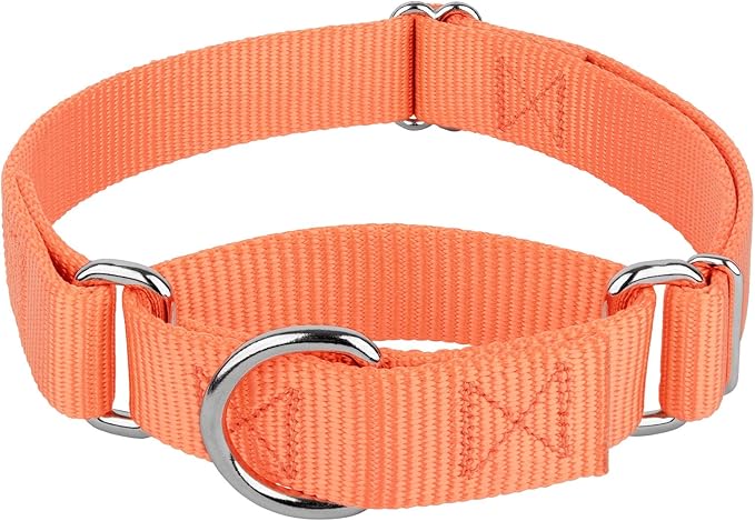 Country Brook Petz - Martingale Dog Collar - Heavy-Duty Training Collar with No Buckle - Service Dog Collar for All Pups - 10+ Warm Colors (Mango, 3/4 Inch, Small)