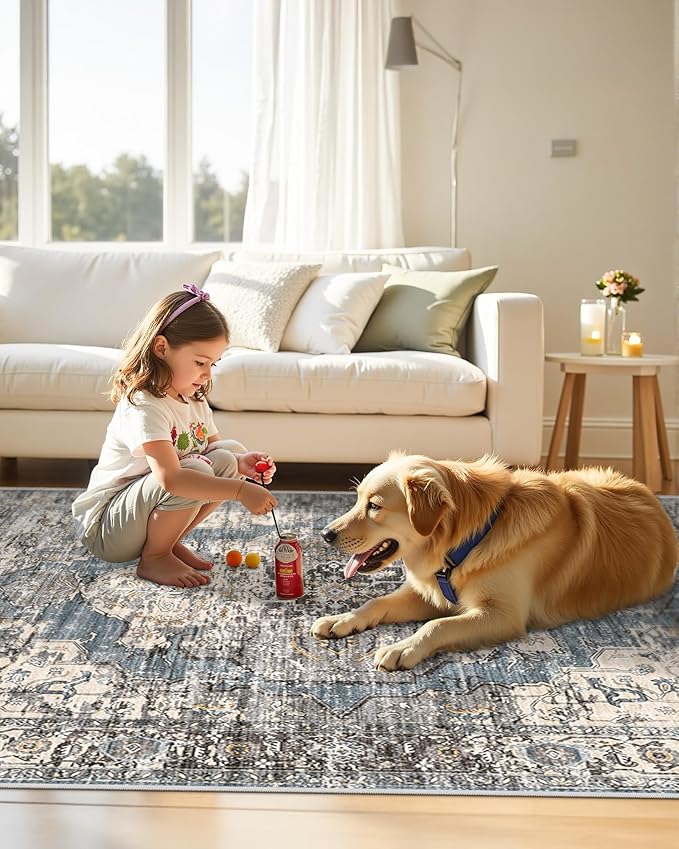 6x9 Area Rugs for Living Room,Super Soft Ultra-Thin Stain Resistant Machine Washable Rugs for Bedroom,Non-Slip Backing Large Area Rug(Blue/Black,6'x9')