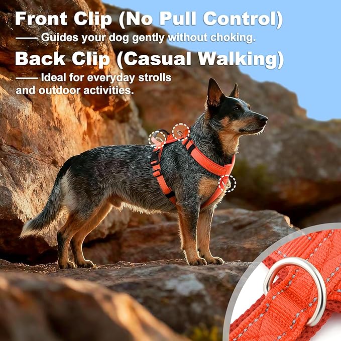 No Pull Dog Harness with Handle, Soft Mesh Padded Adjustable for Small Medium Large Dogs | Reflective Easy Walk Harness with Front Clip for Training, Running & Outdoor (Orange, S)