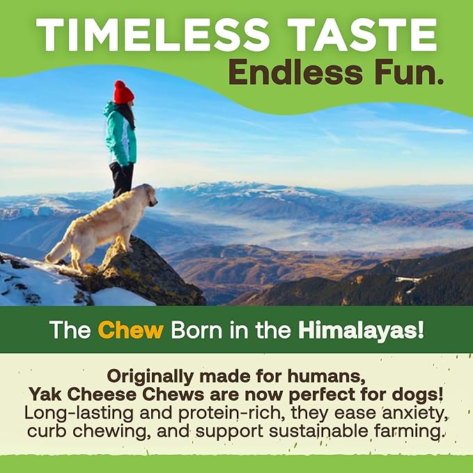 EcoKind Premium Gold Yak Cheese Himalayan Dog Chews, Dog Treats Large Breed, All Natural, High Protein Dog Chew, Cheese, Large - 12+ Chews (3 lbs)