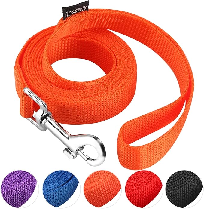 AMAGOOD 6 FT Puppy/Dog Leash, Traditional Style Leash with Easy to Use Collar Hook, Great for Small, Medium and Large Dogs (3/4 in x 6 ft, Orange)
