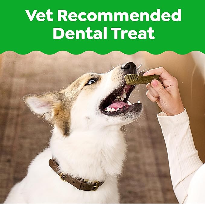 Greenies Veterinarian-Recommended Adult Natural Dental Dog Treats Large Size, Dog Dental Chews, Original Flavor, 12 oz. Pack, 8 Count