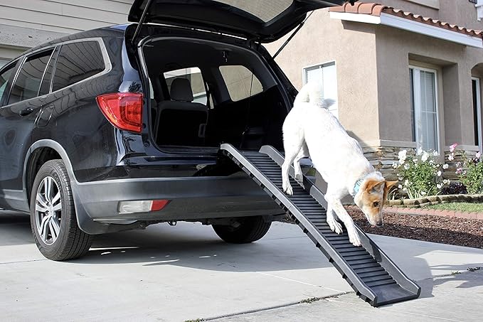 PawStep 50524 61" Portable Folding Pet Ramp, Black