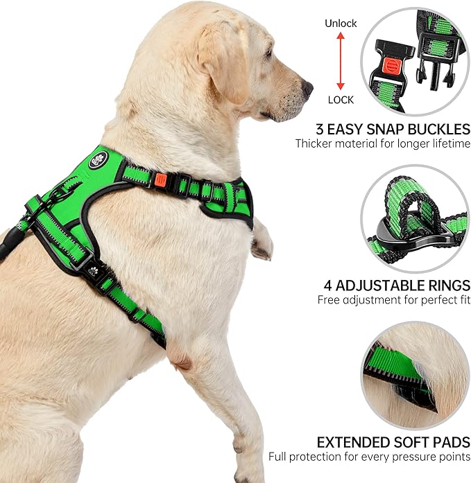 NESTROAD No Pull Dog Harness,Adjustable Oxford Dog Vest Harness with Leash,Reflective No-Choke Pet Harness with Easy Control Soft Handle for Large Dogs(Large,FluorescentGreen)