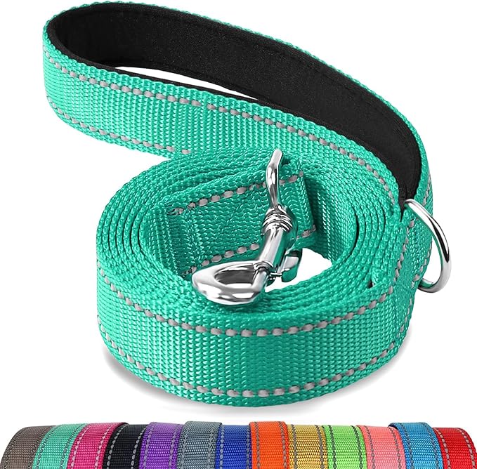 Joytale Dog Leash Heavy Duty for Large Medium Dogs, 6 FT Reflective Nylon Pet Walking Lead with Soft Padded Handle, Durable & Tangle Free for Training, Running & Safety Control, Teal