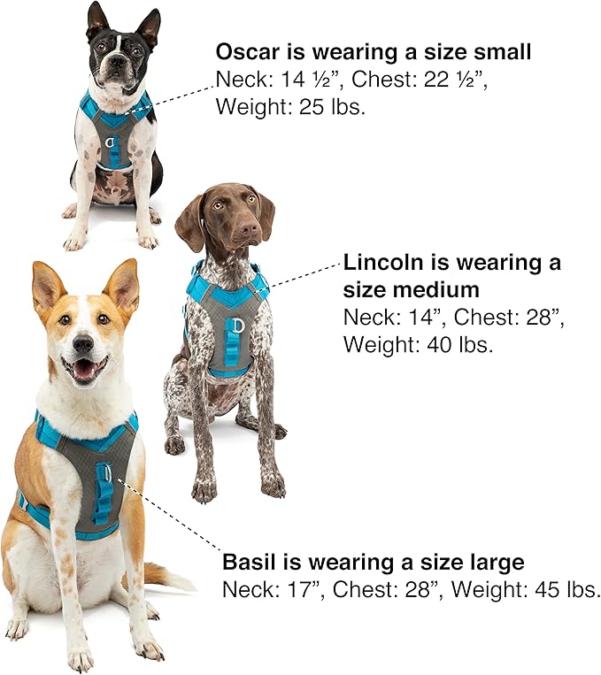 Kurgo Journey Air Dog Harness - Secure Fit for Active Dogs - Padded Chest - Lightweight Ripstop Fabric - Breathable Mesh - Reflective Trim - Back Assist Handle - Coral - Medium