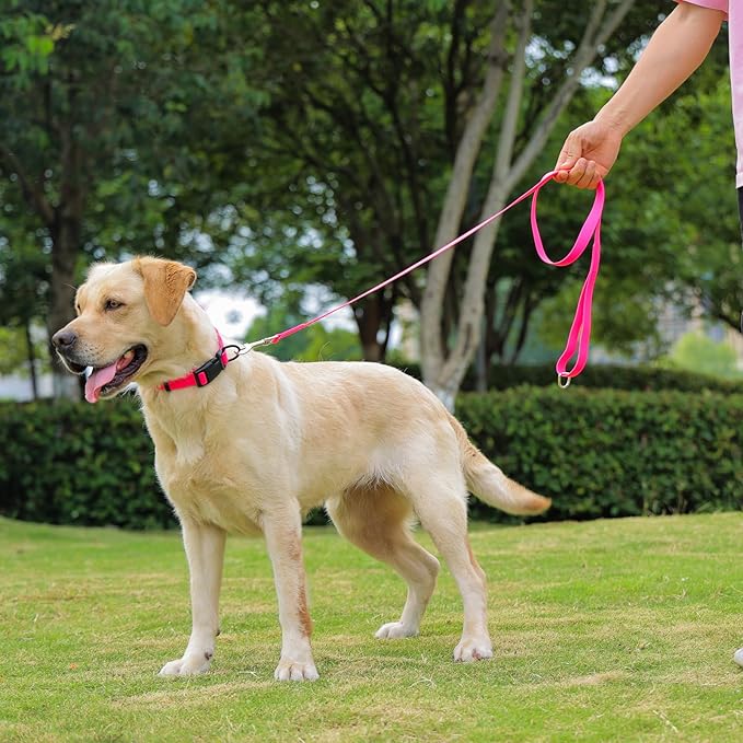 Waterproof Dog Leash, 5/6 FT Durable Odor-Proof Dog Leashes with Strong Metal Hooks Fits Small Medium or Large Dogs (Pink, 6FT - 1 inch Width)