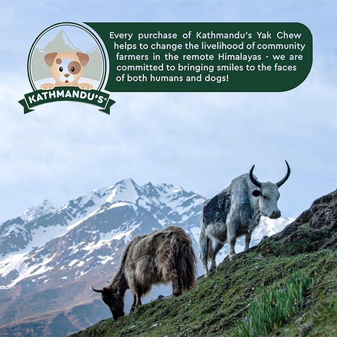 Authentic Himalayan Natural Dog Cheese Chew (Pack of 4 Large & XLarge Chews), Premium Organic Yak Chew, Keeps Your Dog Busy, Ideal for Indoors and Outdoors Use